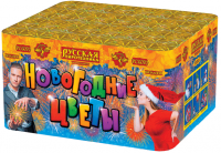 Новогодние цветы Фейерверк купить в Горнозаводске | gornozavodsk.salutsklad.ru