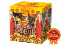 Красивая жизнь Фейерверк купить в Горнозаводске | gornozavodsk.salutsklad.ru