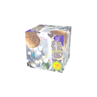 Новогодняя ночь Салют купить в Горнозаводске | gornozavodsk.salutsklad.ru