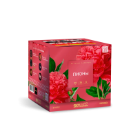 Пионы Салют купить в Горнозаводске | gornozavodsk.salutsklad.ru