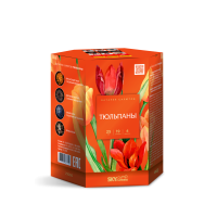 Тюльпаны Салют купить в Горнозаводске | gornozavodsk.salutsklad.ru