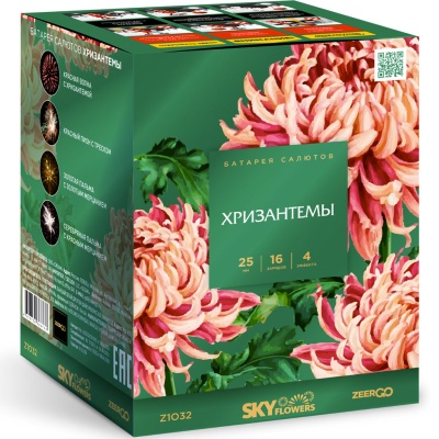 Хризантемы Фейерверк купить в Горнозаводске | gornozavodsk.salutsklad.ru