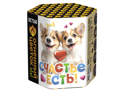 Счастье есть! Салют купить в Горнозаводске | gornozavodsk.salutsklad.ru